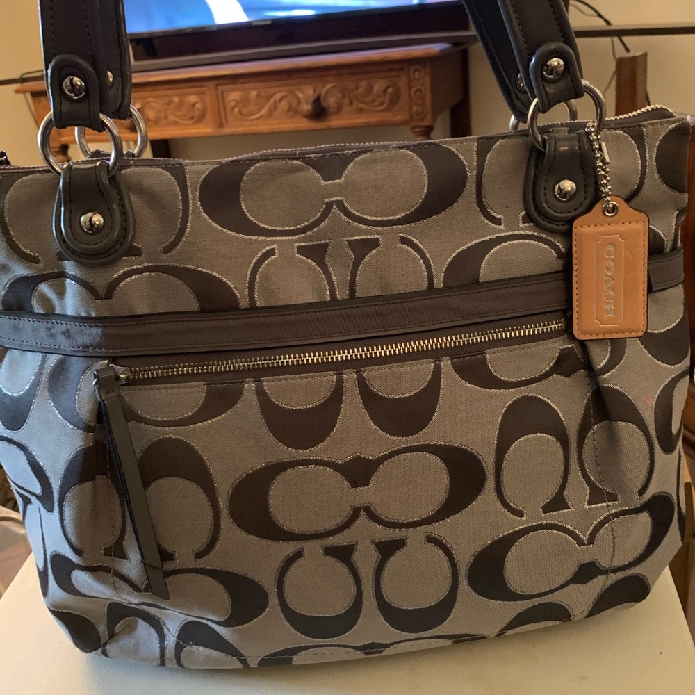 Coach Poppy Metallic Signature Sateen Glam Tote